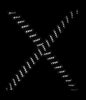 Rynox Gripper Reflective Bungee Strap, Riding Luggage, Rynox Gears, Moto Central