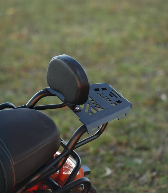 Moto Torque TVS Ronin Back Carrier (Black)
