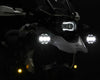 DENALI D7 PRO Multi Beam Auxiliary Light Single Pod with Modular X Lens System (DNL.D7P.050) - Moto Central