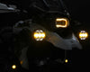 DENALI D7 PRO Multi Beam Auxiliary Light Single Pod with Modular X Lens System (DNL.D7P.050) - Moto Central