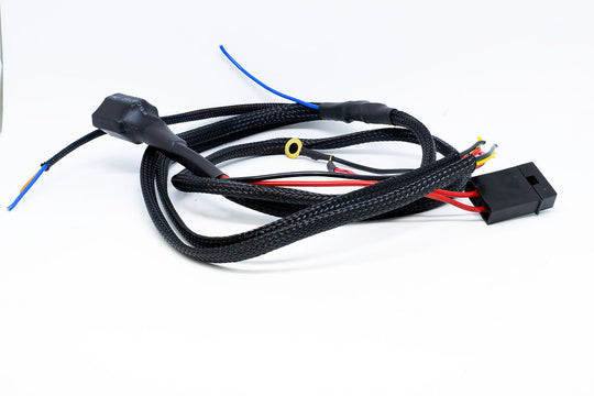 Rawstone Regulus 40R Wiring Harness