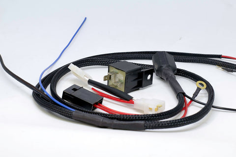 Rawstone Wiring Harness for Regulus 10 / 20 / 40S