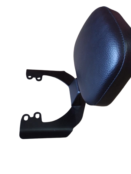 Carbon Racing Premium Pillion Backrest for Dominar 400