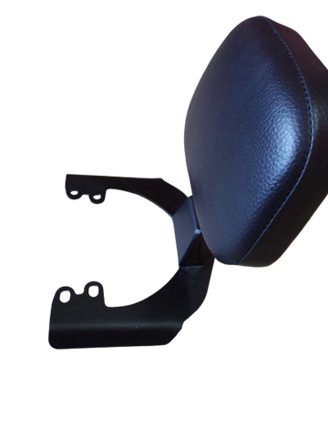 Carbon Racing Premium Pillion Backrest for Dominar 400